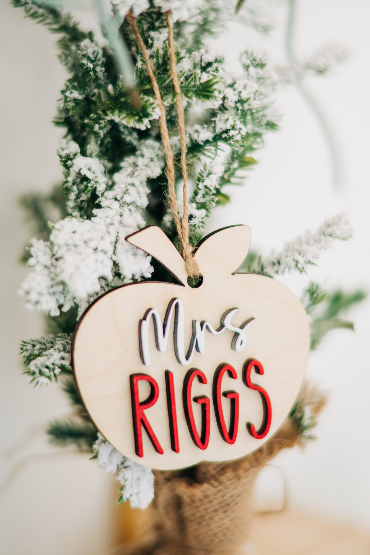 Personalized Teacher Apple Ornament - Apple Ornament for Teachers - Gifts for Teachers - Teacher Christmas Gift - Personalized Teacher Gift