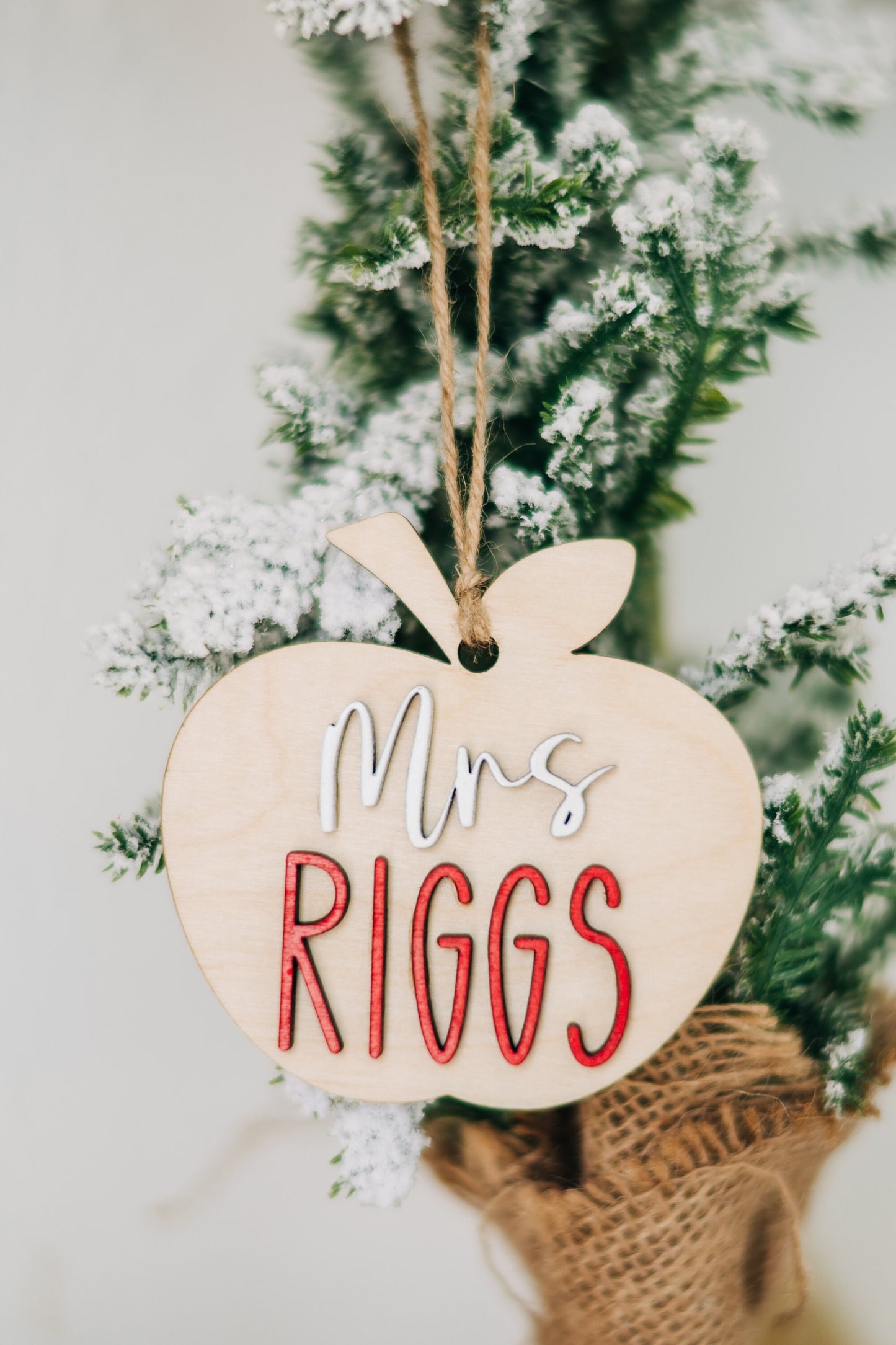 Personalized Teacher Apple Ornament - Apple Ornament for Teachers - Gifts for Teachers - Teacher Christmas Gift - Personalized Teacher Gift