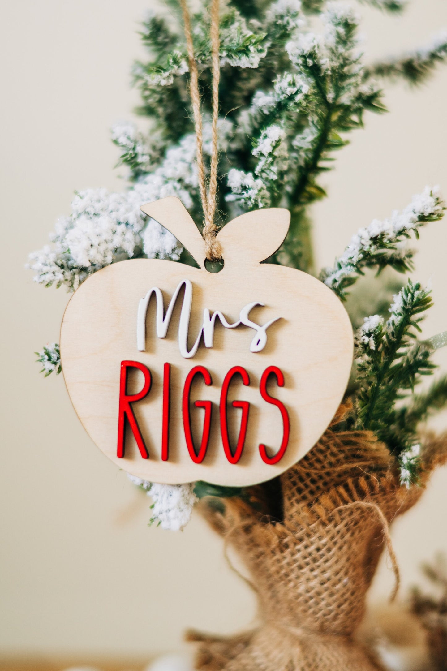Personalized Teacher Apple Ornament - Apple Ornament for Teachers - Gifts for Teachers - Teacher Christmas Gift - Personalized Teacher Gift