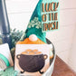 St. Patrick's Day Tiered Tray Decor - St. Paddy’s Day Signs - St. Patricks Day Decor - Tiered Tray Signs St. Patrick's - Irish Tiered Tray