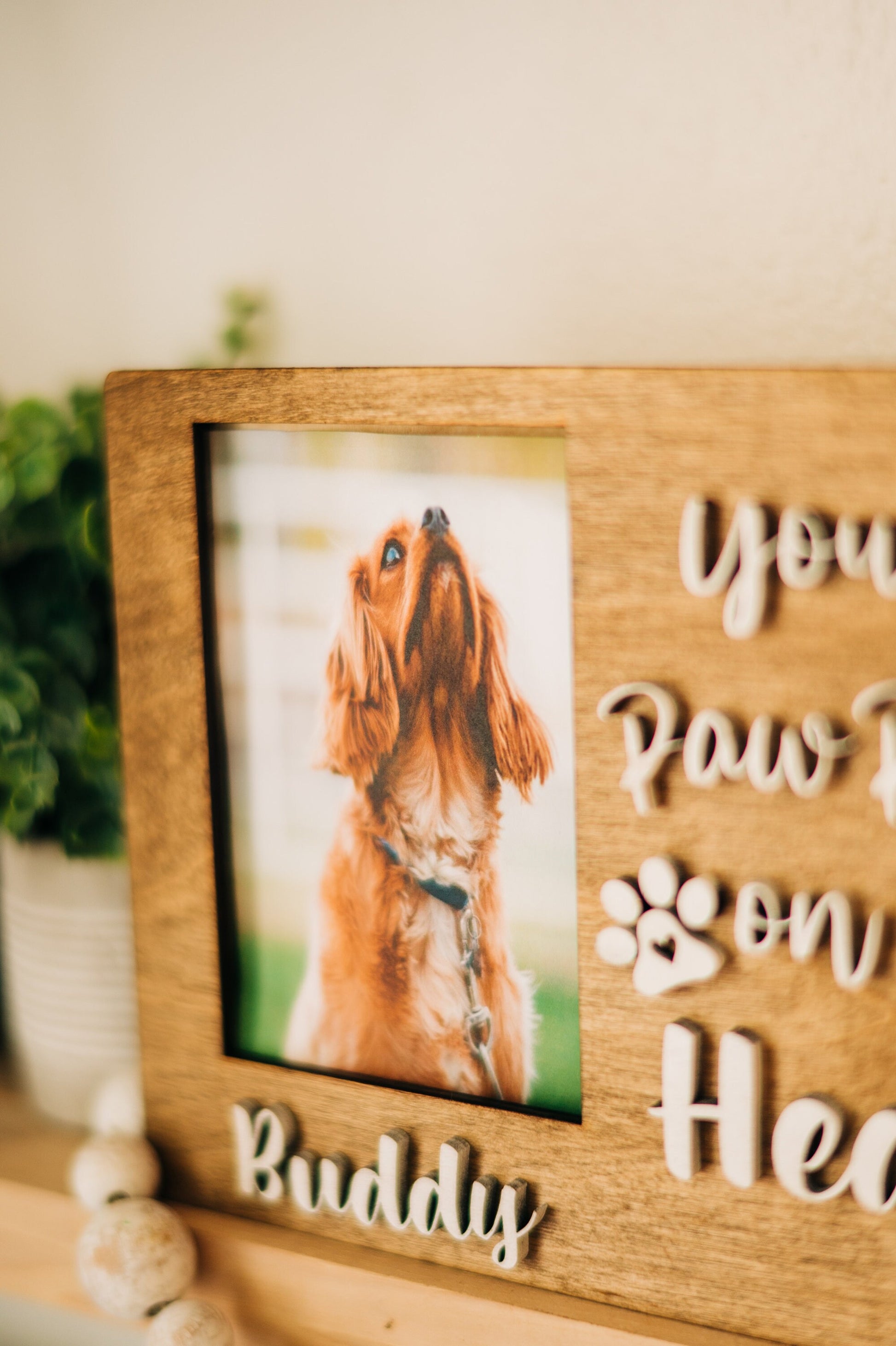 You left paw prints on our hearts - pet memorial frame - pet memorial gift - pet loss gift - pet signs - dog memorial signs - dog memorial