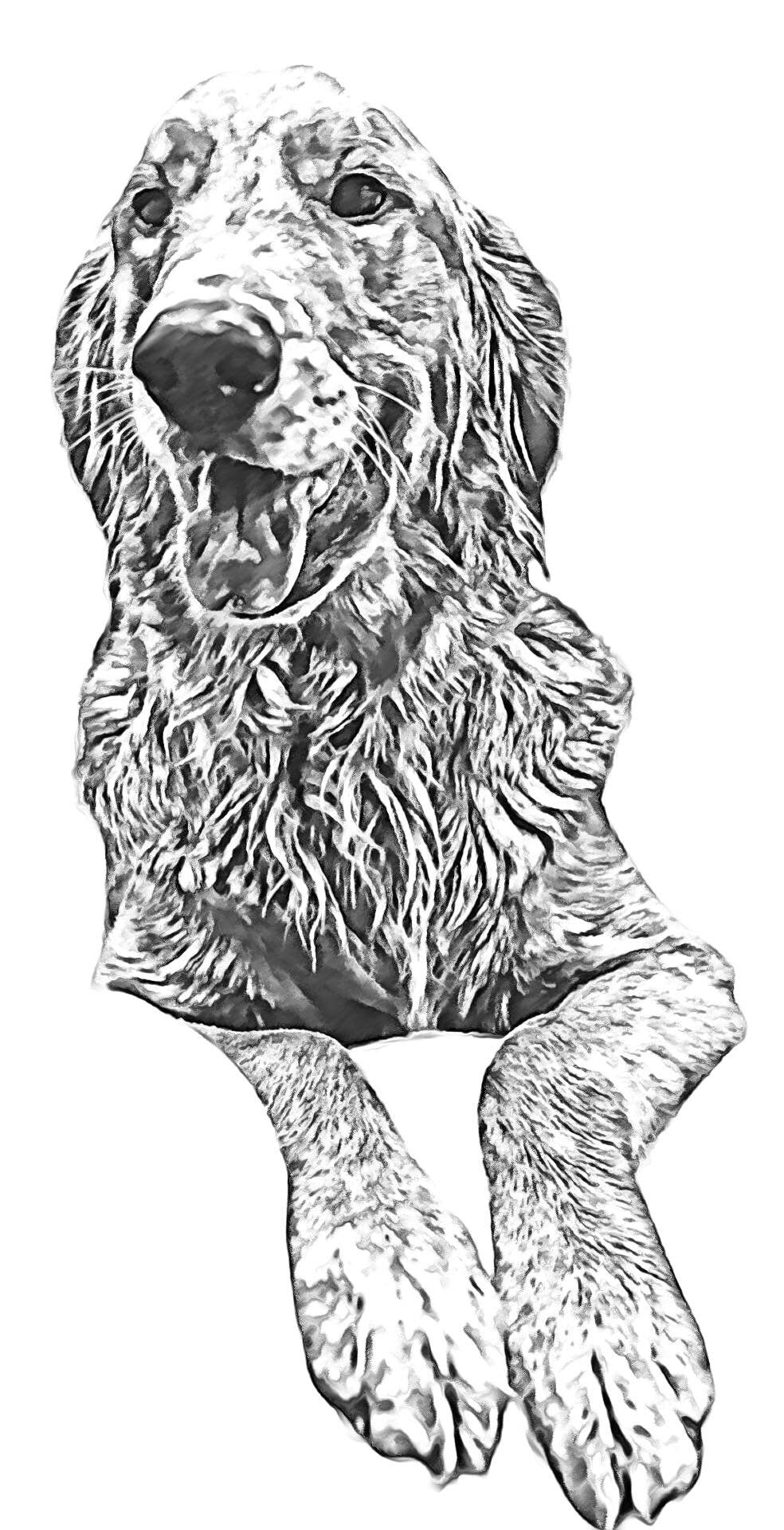 Custom Engraved Dog Portrait Tumbler - Gifts for Dog Moms - Gifts for Dog Dads - Pet Lover Gifts - Gifts for Pet Parents - Dog or Cat Gift